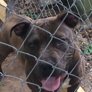 Meet your Posher, Troy